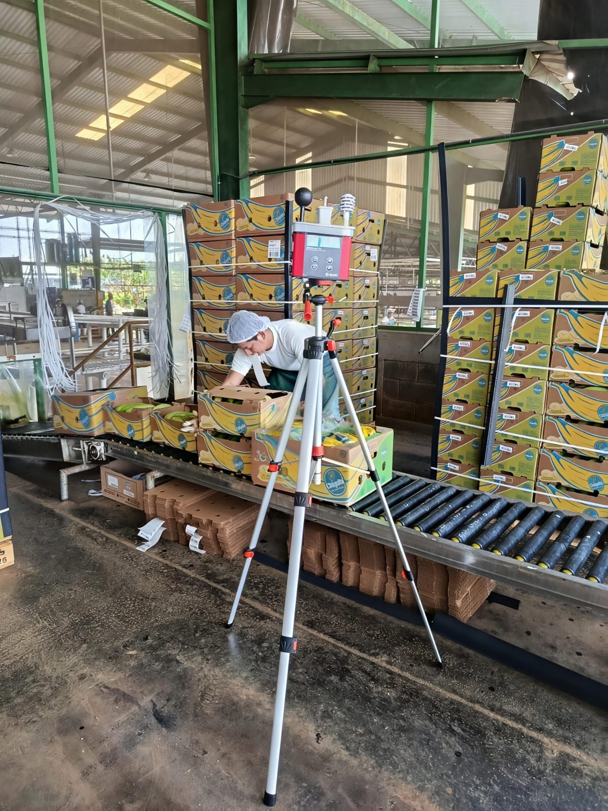 Monitoreo en empacadora